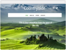 Website template 5