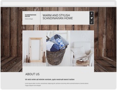 Website template 8